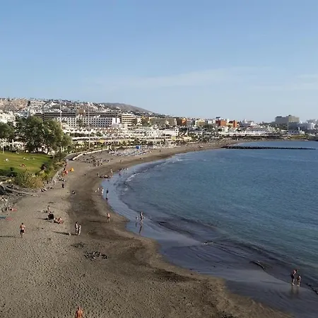 Galgas Club Paraiso * Playa Paraiso (Tenerife)